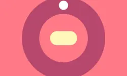 Chaotic Spin