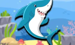 Dady Shark Adventure