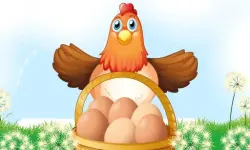 Egg Collector