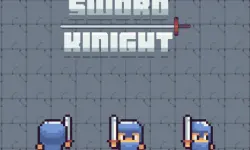 The Sword Knight