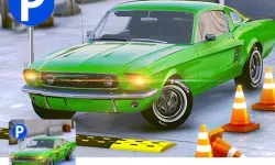 3d car parking