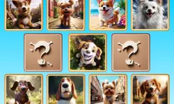 Doggie Duo Discoveries