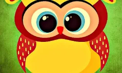 Funny Owls Jigsaw